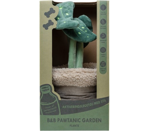 B&B Pawtanic Garden Plante