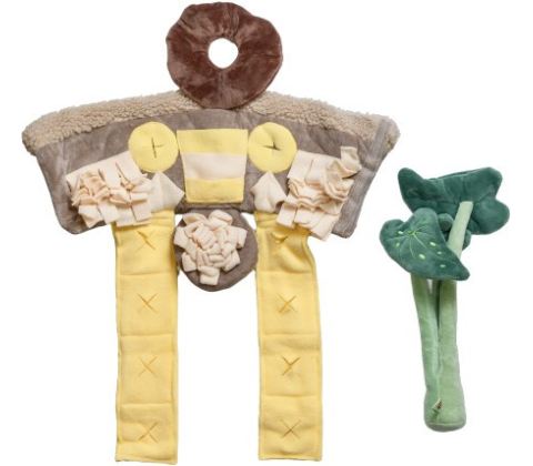 B&B Pawtanic Garden Plante