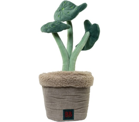 B&B Pawtanic Garden Plante