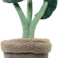 B&B Pawtanic Garden Plante