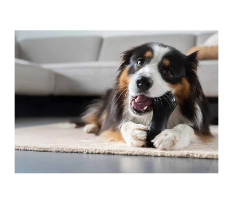 Zs Chewchasers Treat Peanut L 14cm