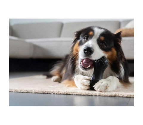 Zs Chewchasers Treat Peanut L 14cm