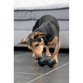 Zs Chewchasers Treat Peanut S 11cm