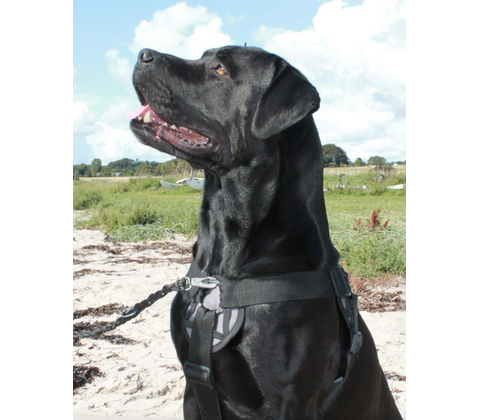 Freedog Walker Antitræksele