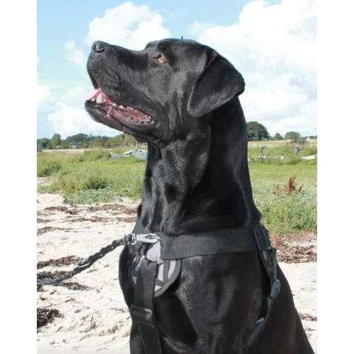Freedog Walker Antitræksele