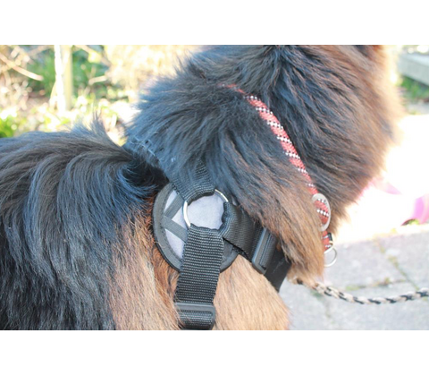 Freedog Walker Antitræksele