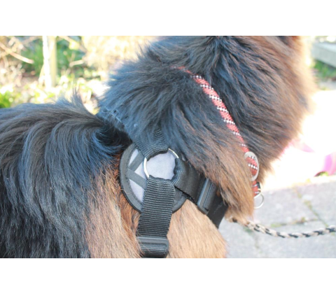 Freedog Walker Antitræksele