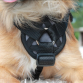 Freedog Walker Antitræksele