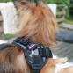 Freedog Walker Antitræksele