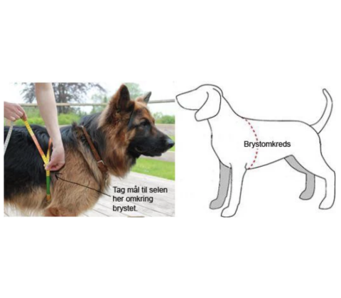 Freedog Walker Antitræksele
