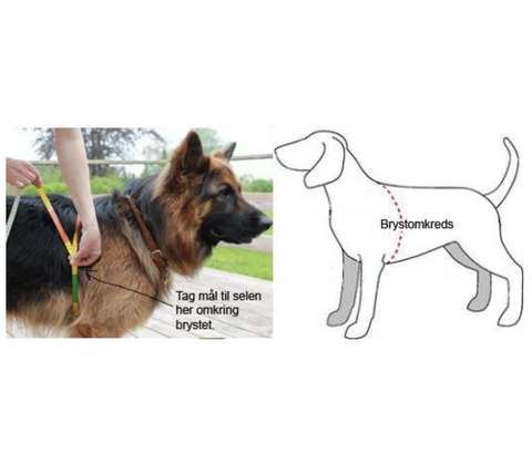Freedog Walker Antitræksele