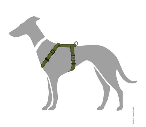 Hunter Sele model London VR - Oliven