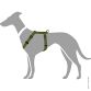 Hunter Sele model London VR - Oliven