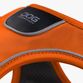 DOG Copenhagen Comfort Walk Go™ Sele - Orange Sun