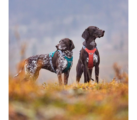 Hurtta Rover Harness Cinnamon