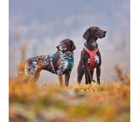 Hurtta Rover Harness Raven/sort