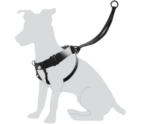 Flamingo Easy Walker for dogs str. L