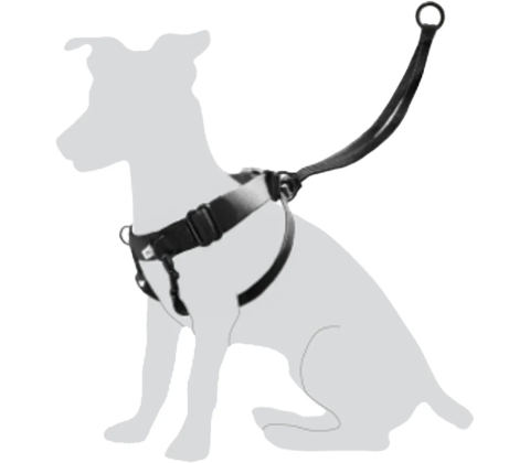 Flamingo Easy Walker for dogs str. L