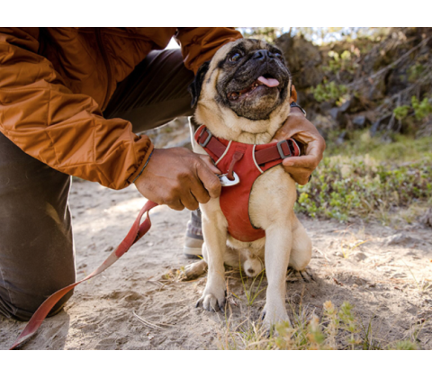 Ruffwear Front Ranger Sele Rød Ler