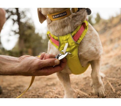 Ruffwear Hi & Light Sele Lichen Green