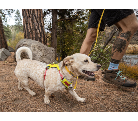 Ruffwear Hi & Light Sele Lichen Green