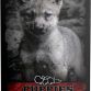 Alpha Spirit Semi-moist Puppies, 9 kg (45x200g)