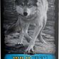 AlphaSpirit Fisk komplet hundefoder (45x200g) 9 kg