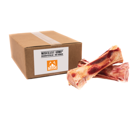 Okseben el. Griseryg Frost 1 stk.