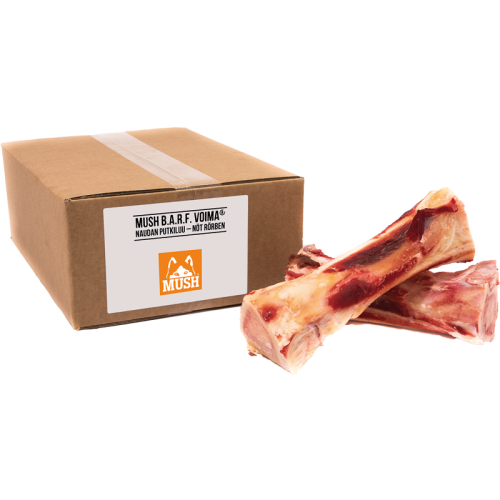 Okseben el. Griseryg Frost 1 stk.