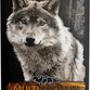Alpha Spirit Semi-moist Multiprotein, 9 kg (45x200g)