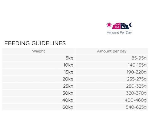 Overweight/Sterilized