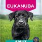Eukanuba Adult Large Breed kylling