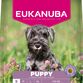 Eukanuba Puppy  Small Breed med kylling 