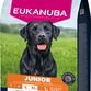Eukanuba Junior Large Breed Kylling 12KG