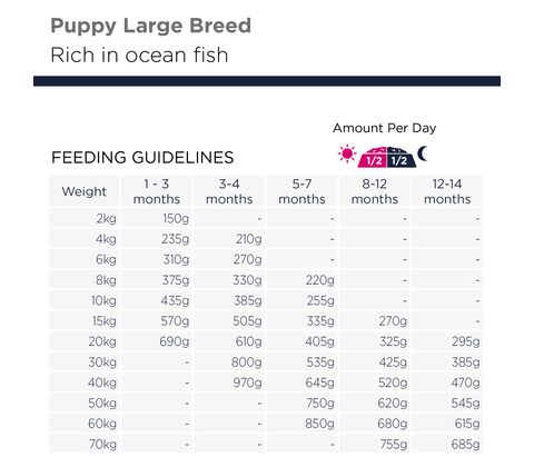 Eukanuba Puppy & Junior Large Grainfree Ocean Fish 3KG