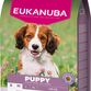 Eukanuba puppy small&medium lam og ris 12kg