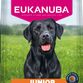 Eukanuba Junior Large Breed Kylling 12KG