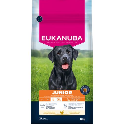Eukanuba Junior Large Breed Kylling 12KG