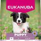 Eukanuba Puppy Medium Breed kylling 