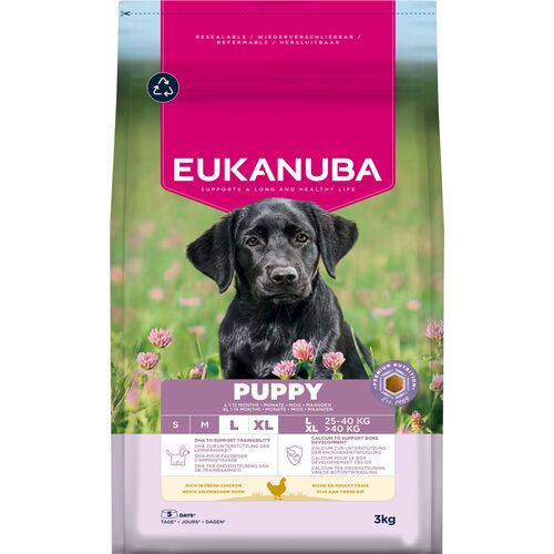 Eukanuba Puppy Large Breed kylling