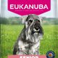 Eukanuba Senior Small Breed kylling