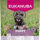 Eukanuba Puppy  Small Breed med kylling 