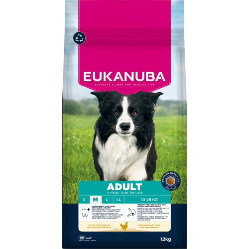 Adult Medium Breed kylling