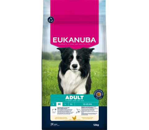 Adult Medium Breed kylling