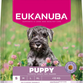 Eukanuba Puppy  Small Breed med kylling 