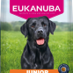 Eukanuba Junior Large Breed Kylling 12KG