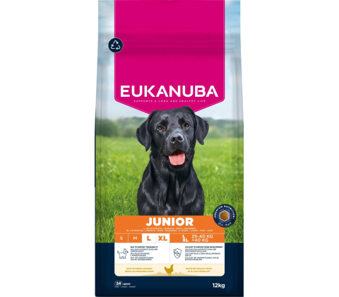 Eukanuba Junior Large Breed Kylling 12KG