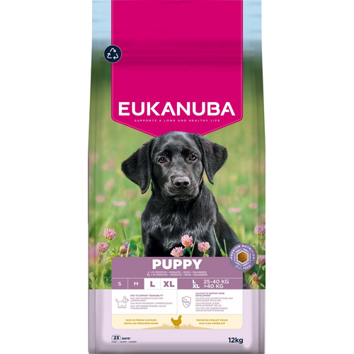 Eukanuba Puppy Large Breed kylling
