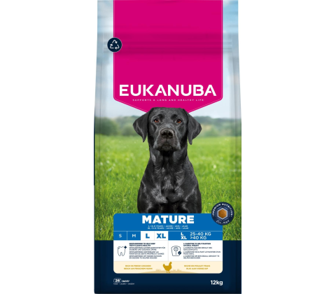 Mature Large Breed kylling