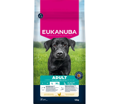 Adult Large Breed kylling